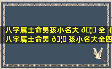 八字属土命男孩小名大 🦊 全（八字属土命男 🦟 孩小名大全四个字）